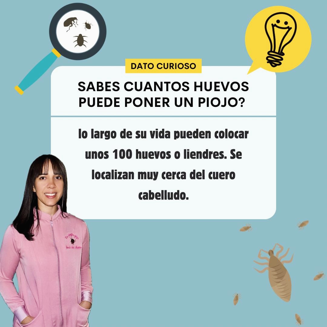 Kit para piojos